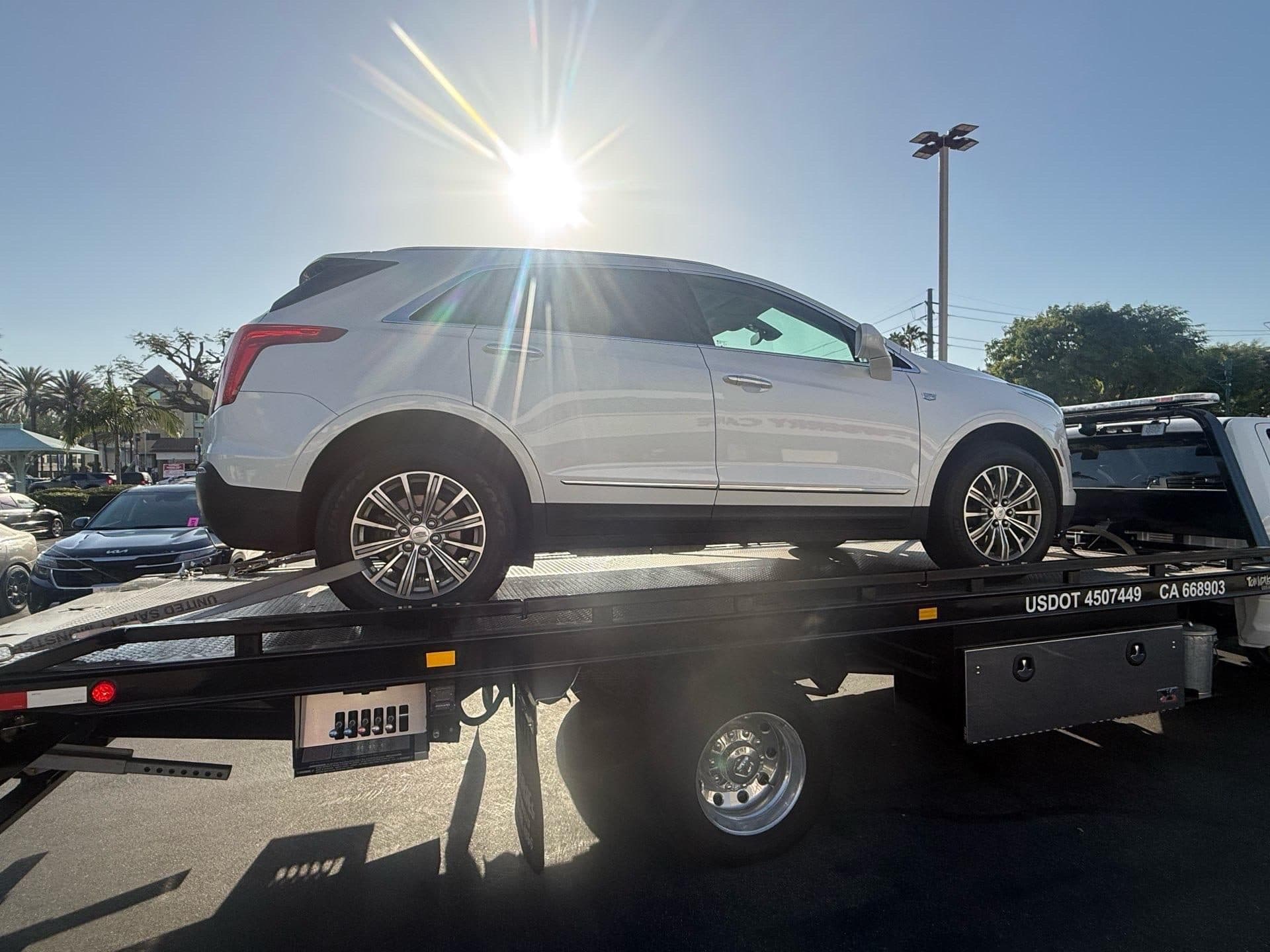 Auction & Dealer Transport